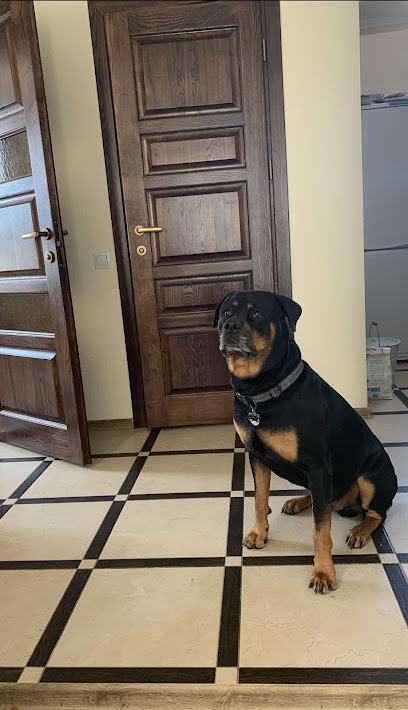 Greenfield Animal Hospital