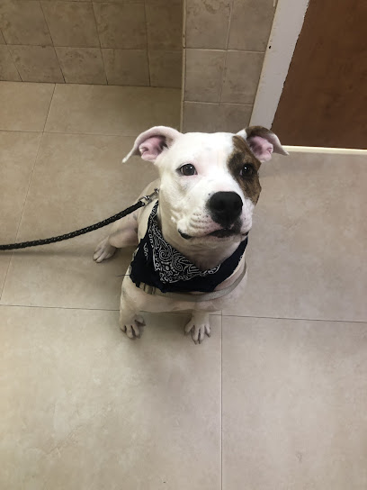 Biscayne Animal Hospital