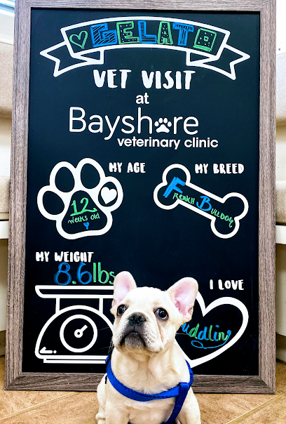 Bayshore Veterinary Clinic