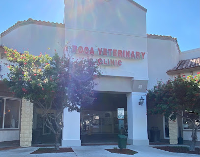 Boca Veterinary Clinic Boca Veterinary Clinic