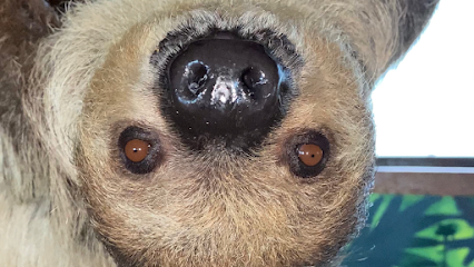 Animal EDventure Park & Safari Animal EDventure Park & Safari