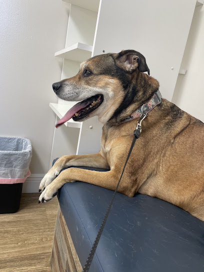 Animal Clinic of West Lake Worth Animal Clinic of West Lake Worth