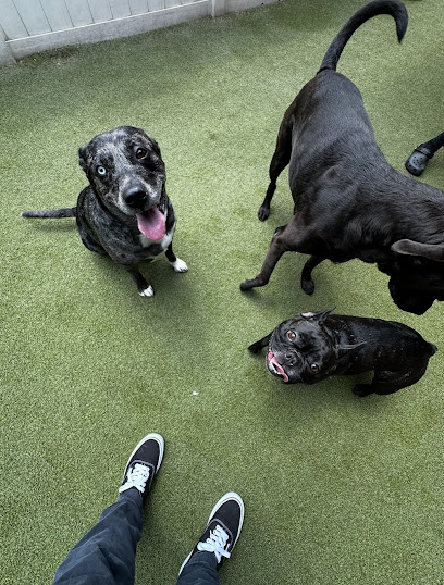 INN The Dog House – Boynton Beach