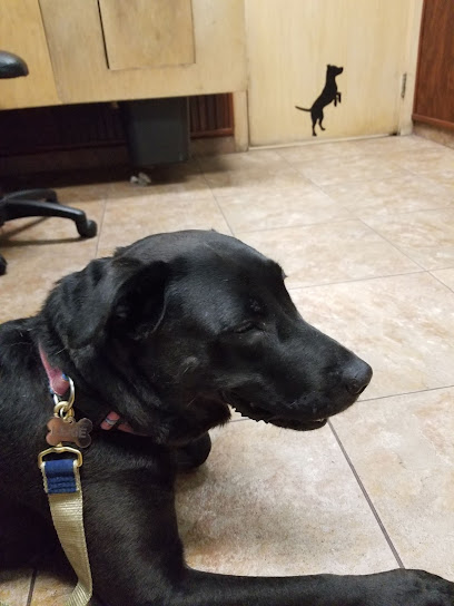 Hillsboro Beach Animal Hospital