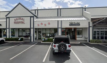 Marianne Dallessandro DVM – Boca Village Animal Hospital