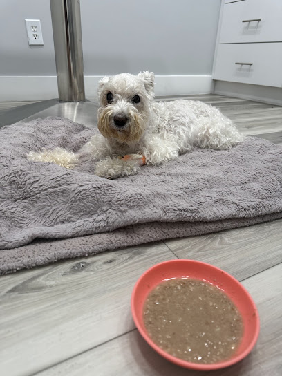 Animal Emergency And Urgent Care Center