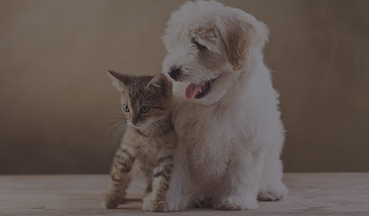 Stevens Animal Hospital