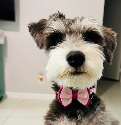 24 hr Mobile Pet Care, LLC