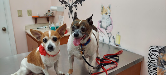 BEST VET Affordable Animal Hospital BEST VET Affordable Animal Hospital