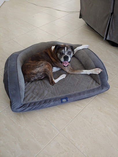 Islandside Veterinary Care and Surgical Center