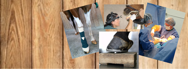 Brandon Equine Medical Center