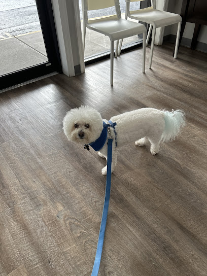 Riverview Veterinary Hospital