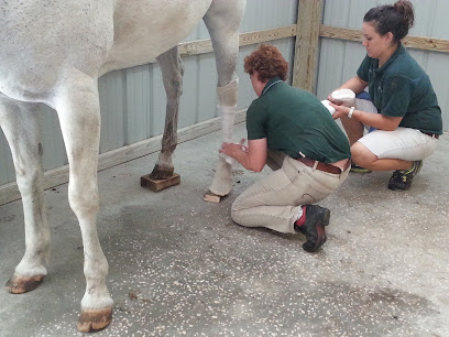 Surgi-Care Center For Horses