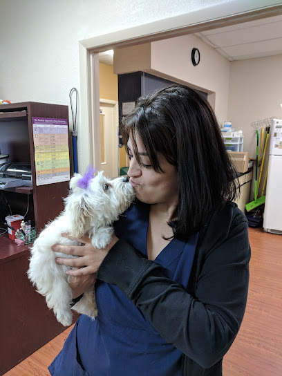 Noah’s Ark Animal Hospital