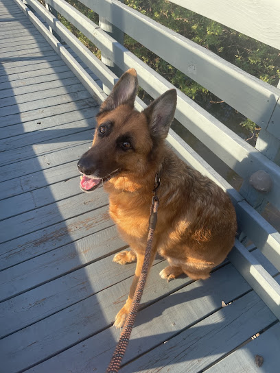 Pavilion Crossing Animal Hospital & Grooming