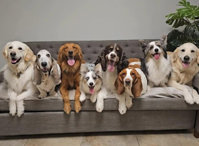 Temple Terrace Animal Hospital