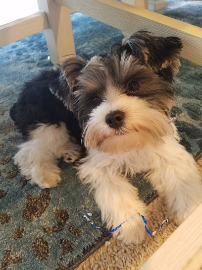 Atlantic Veterinary Clinic Atlantic Veterinary Clinic