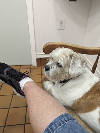 Dr.Stenzel Clearwater Animal Clinic