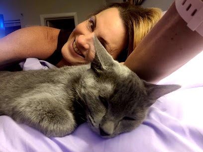 Veterinary Medical Hospital Of Clearwater