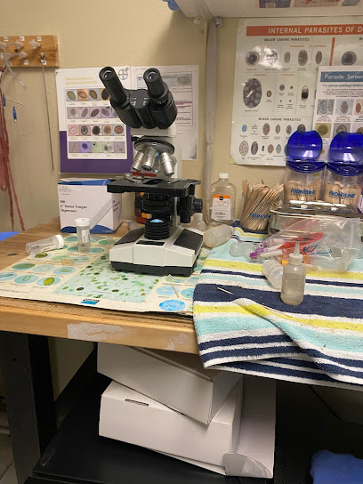 Altamonte Pet Doc Hospital