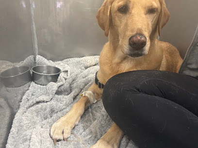 Sunset Point Animal Hospital