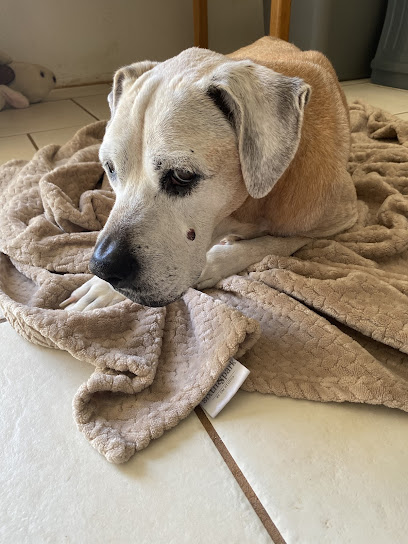 Altamonte Veterinary Hospital