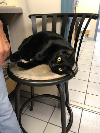A Pet’s Place of Clearwater