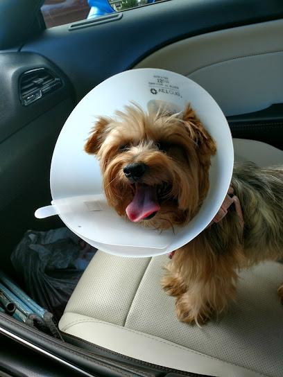 Forest City Veterinary Clinic