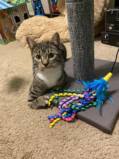 Spring Run Veterinary Hospital