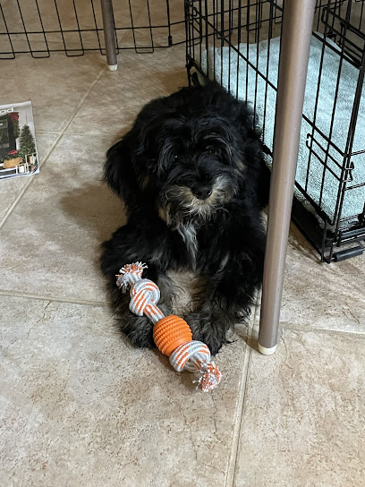 Sanlando Springs Animal Hospital