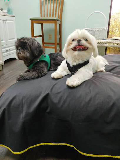 Garden Veterinary Clinic