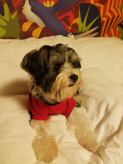 BluePearl Pet Hospital