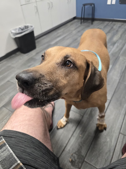 Veterinary Emergency Clinic of Central Florida | Casselberry, FL