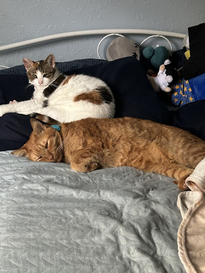 Furever Family Animal Hospital