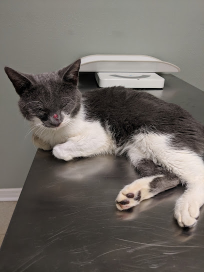 Winter Park 436 Pet Doc Hospital