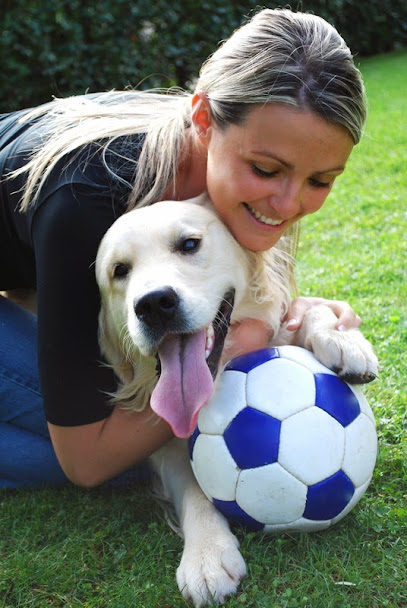 Pet Paradise Animal Hospital & Resort