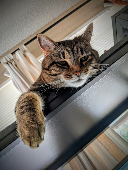 Bear Lake Veterinary Clinic