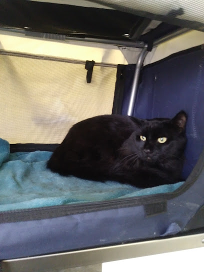 Lee Rd. Pet Doc Hospital