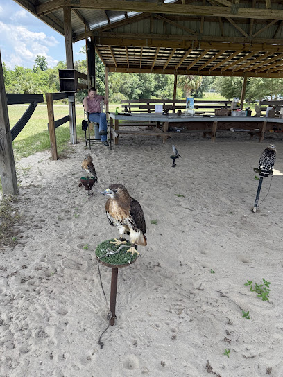 Avian Reconditioning Center