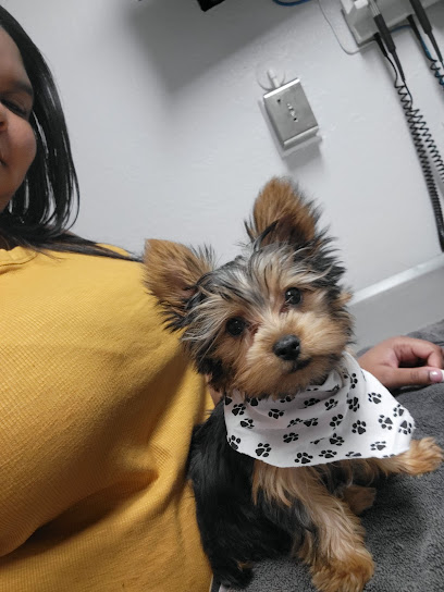 Santa Cruz Animal Clinic