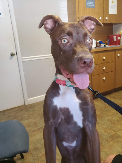 Morgan Animal Hospital