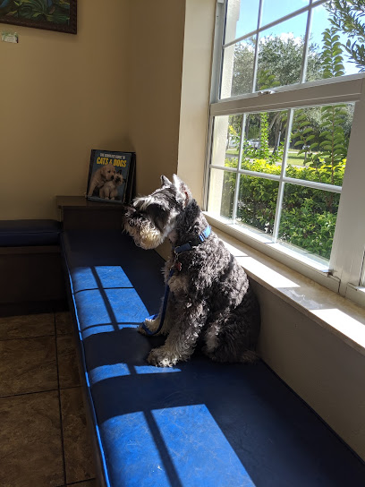 Valrico Animal Clinic