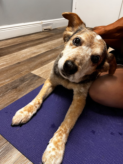 Bluffs Animal Hospital PA