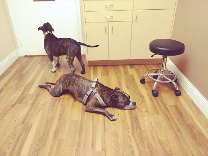 Main Street Animal Hospital