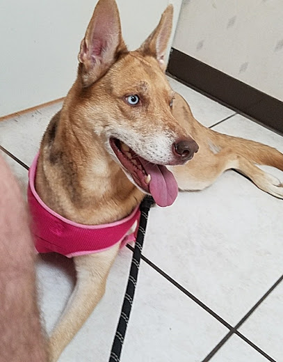 Highland Animal Hospital