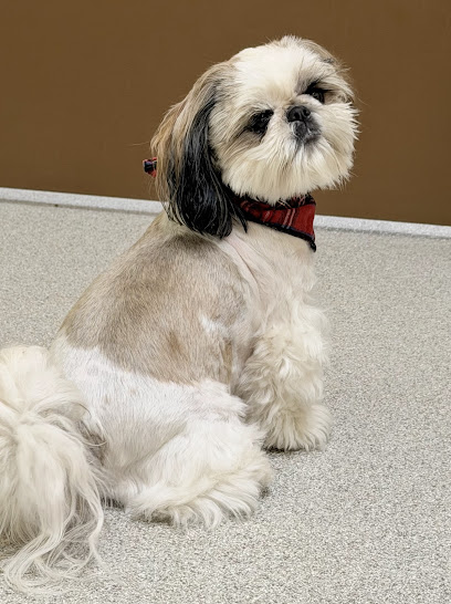 Eastside Veterinary Hospital Eastside Veterinary Hospital