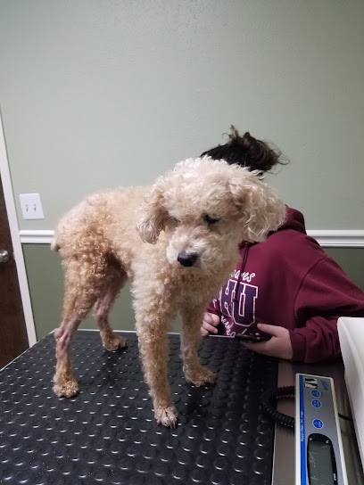 Countryside Animal Hospital