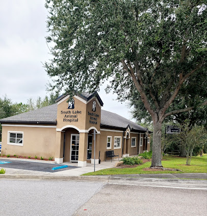 South Lake Animal Hospital South Lake Animal Hospital