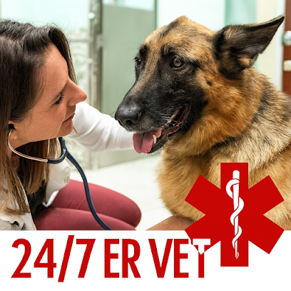 Fetch Specialty & Emergency Veterinary Centers – Clearwater, FL