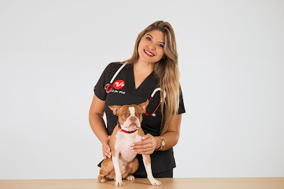 PetSmart Veterinary Services – Brandon